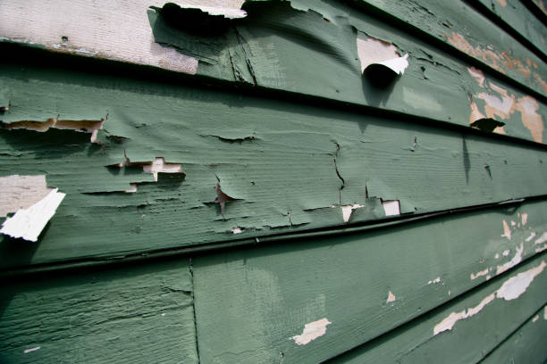 Best Siding Removal and Disposal  in Brighton, AL