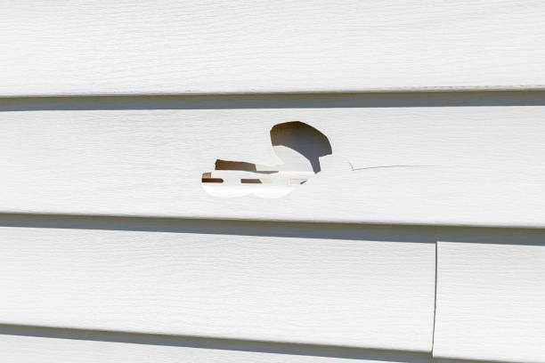 Best Engineered Wood Siding  in Brighton, AL