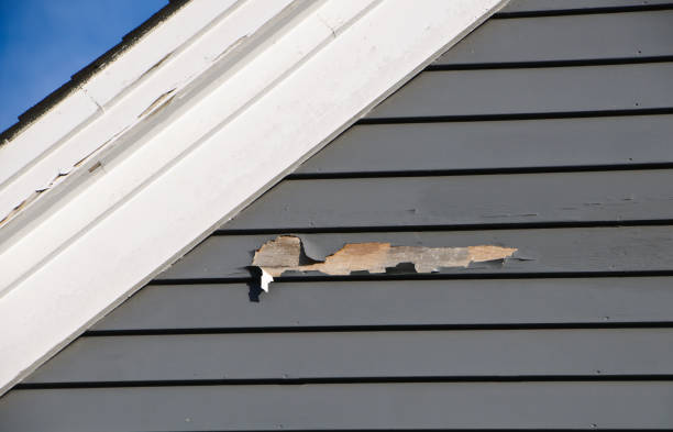 Best Composite Siding  in Brighton, AL