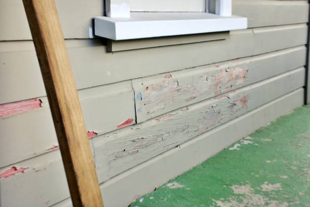 Best Stone Veneer Siding  in Brighton, AL