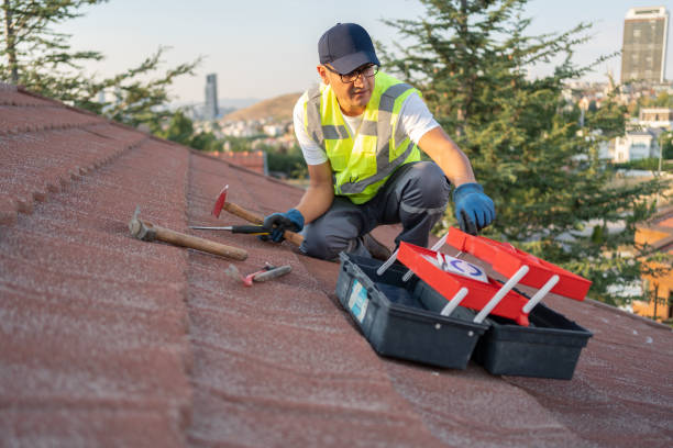 Storm Damage Siding Repair in Brighton, AL